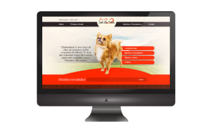 criação de sites responsivos